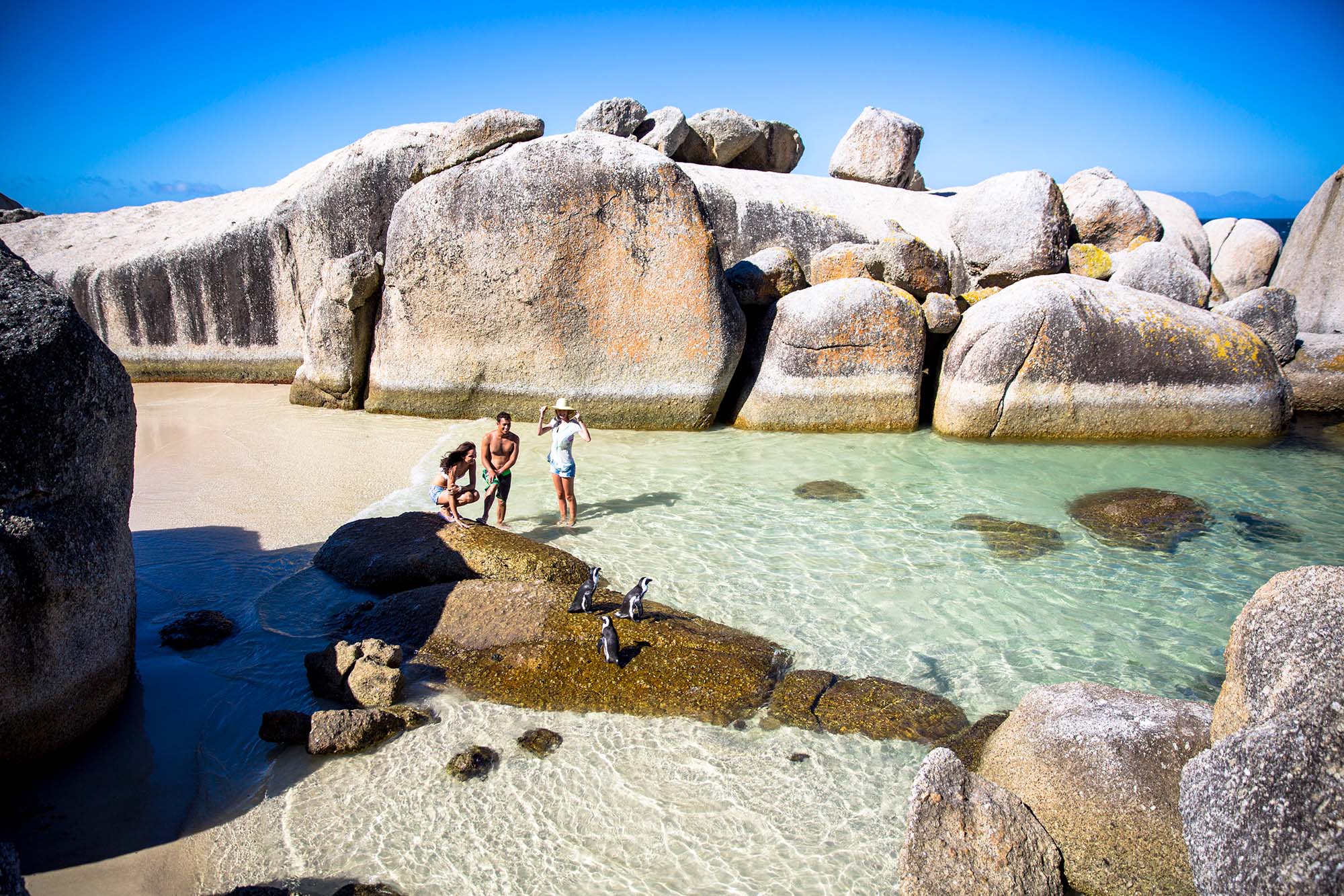 boulders beach